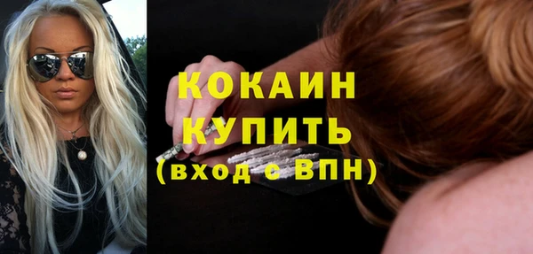 хмурый Арсеньев