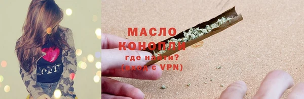 хмурый Арсеньев