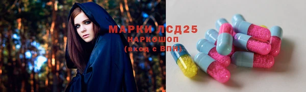 амф Алзамай