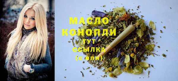 хмурый Арсеньев